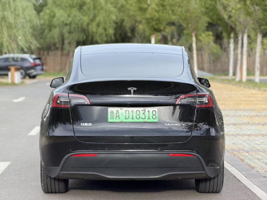 Tesla Model Y 2021 #8 Tesla Model Y 2021 car image #8