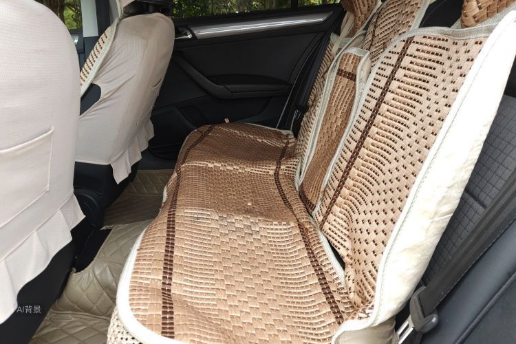 Volkswagen Santana 2019 car image #19