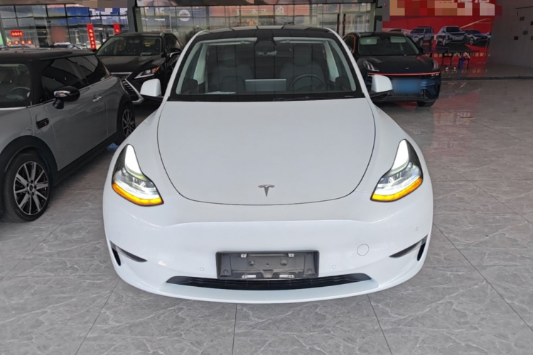 Tesla Model Y 2023 #3 Tesla Model Y 2023 car image #3
