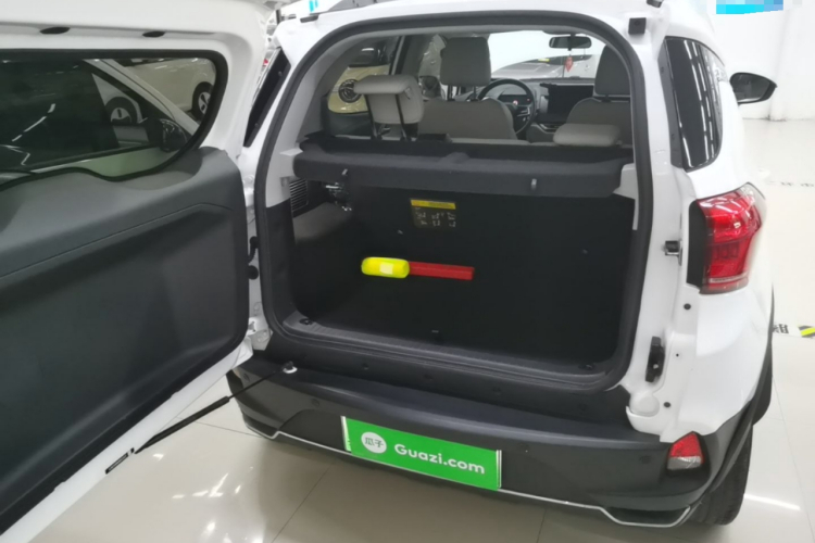 BYD Yuan Pro 2021 car image #19