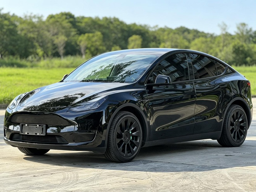 Tesla Model Y 2021 Tesla Model Y 2021 car image