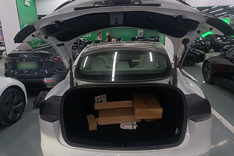 Tesla Model 3 2023 car image #19