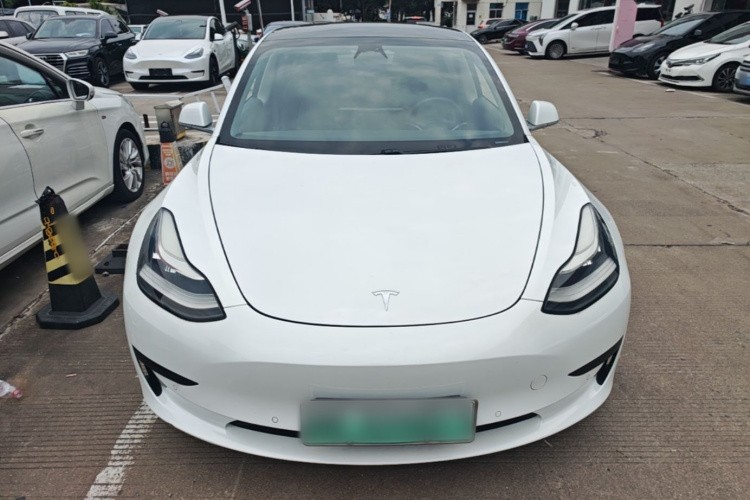 Tesla Model 3 2020 #3 Tesla Model 3 2020 car image #3