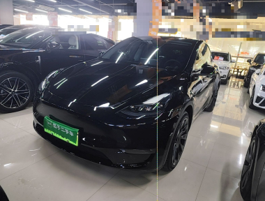 Tesla Model Y 2021 Tesla Model Y 2021 car image