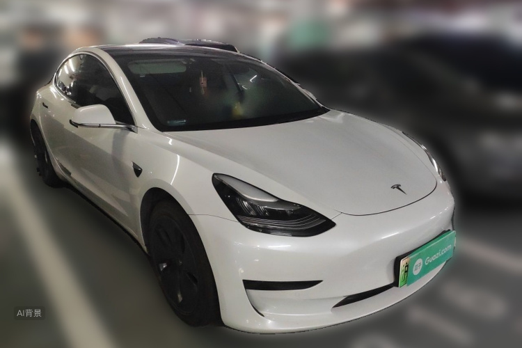 Tesla Model 3 2020 car image #4