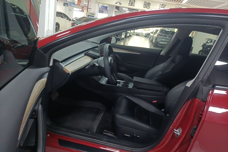 Tesla Model 3 2022 car image #13