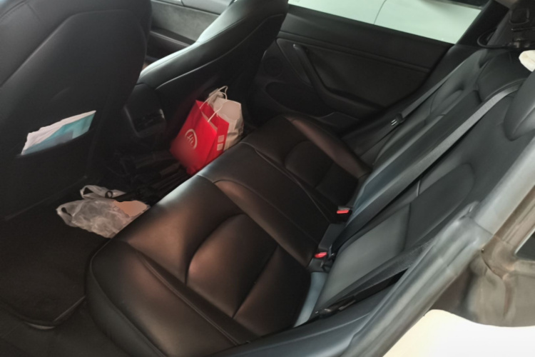 Tesla Model 3 2021 #17 Tesla Model 3 2021 car image #17