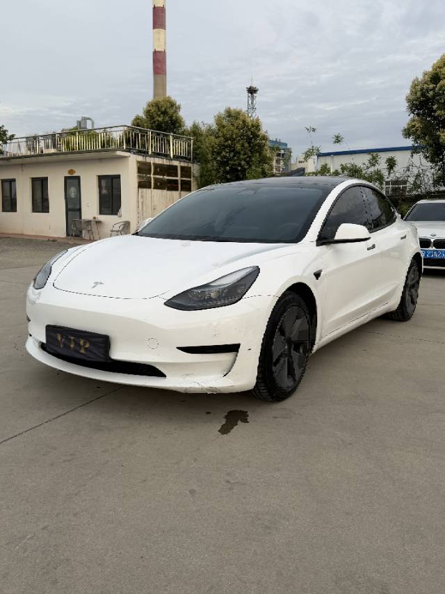 Tesla Model 3 2023 Tesla Model 3 2023 car image