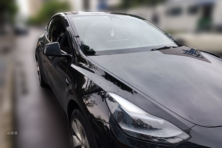Tesla Model Y 2022 car image #4