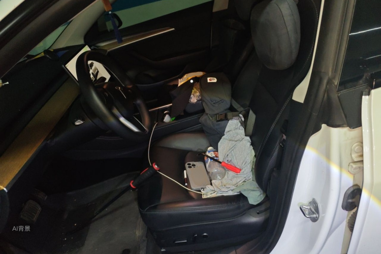 Tesla Model 3 2023 car image #17