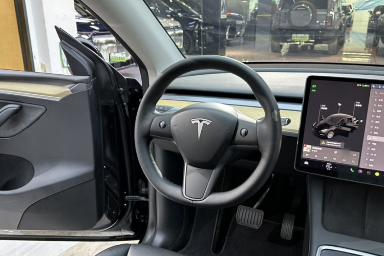 Tesla Model Y 2021 #14 Tesla Model Y 2021 صورة سيارة #14