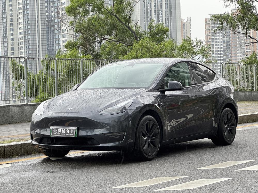 Tesla Model Y 2024 car image 