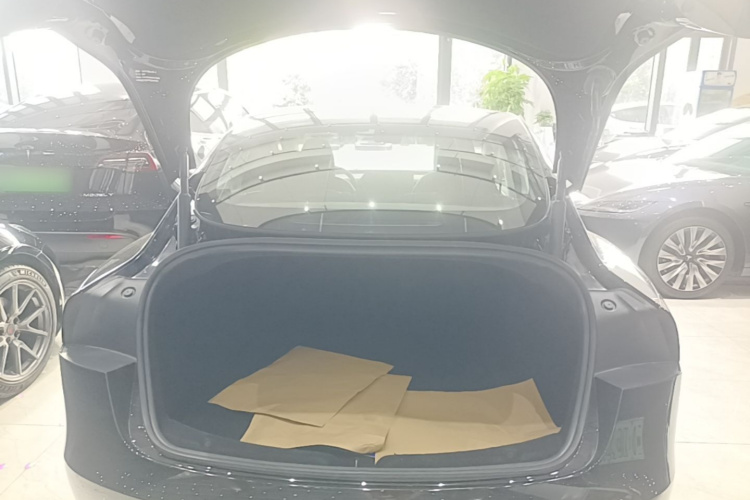 Tesla Model 3 2023 #19 Tesla Model 3 2023 car image #19