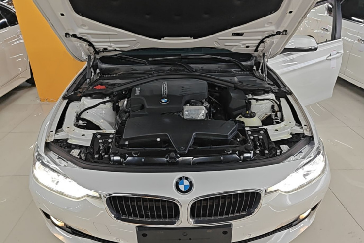 BMW 3 Series 2016 car image #22