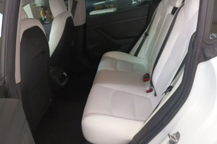 Tesla Model 3 2021 car image #13