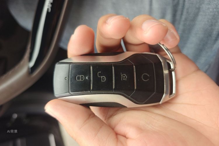BYD Han 2022 #10 BYD Han 2022 immagine di auto #10