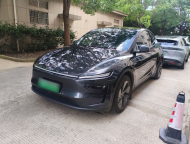 Tesla Model Y 2025 car image 