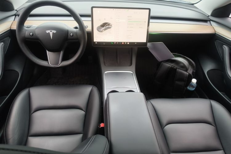 Tesla Model 3 2023 #11 Tesla Model 3 2023 immagine di auto #11