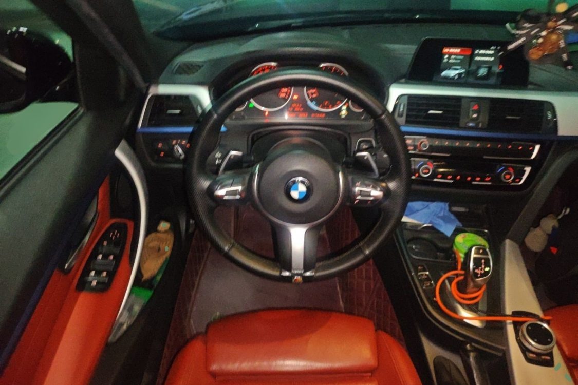 BMW 3 Series 2017 car image #22