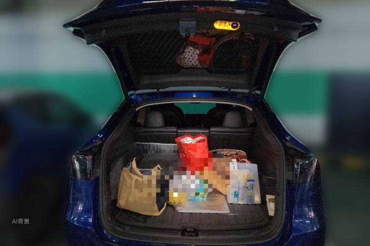 Tesla Model Y 2022 car image #21
