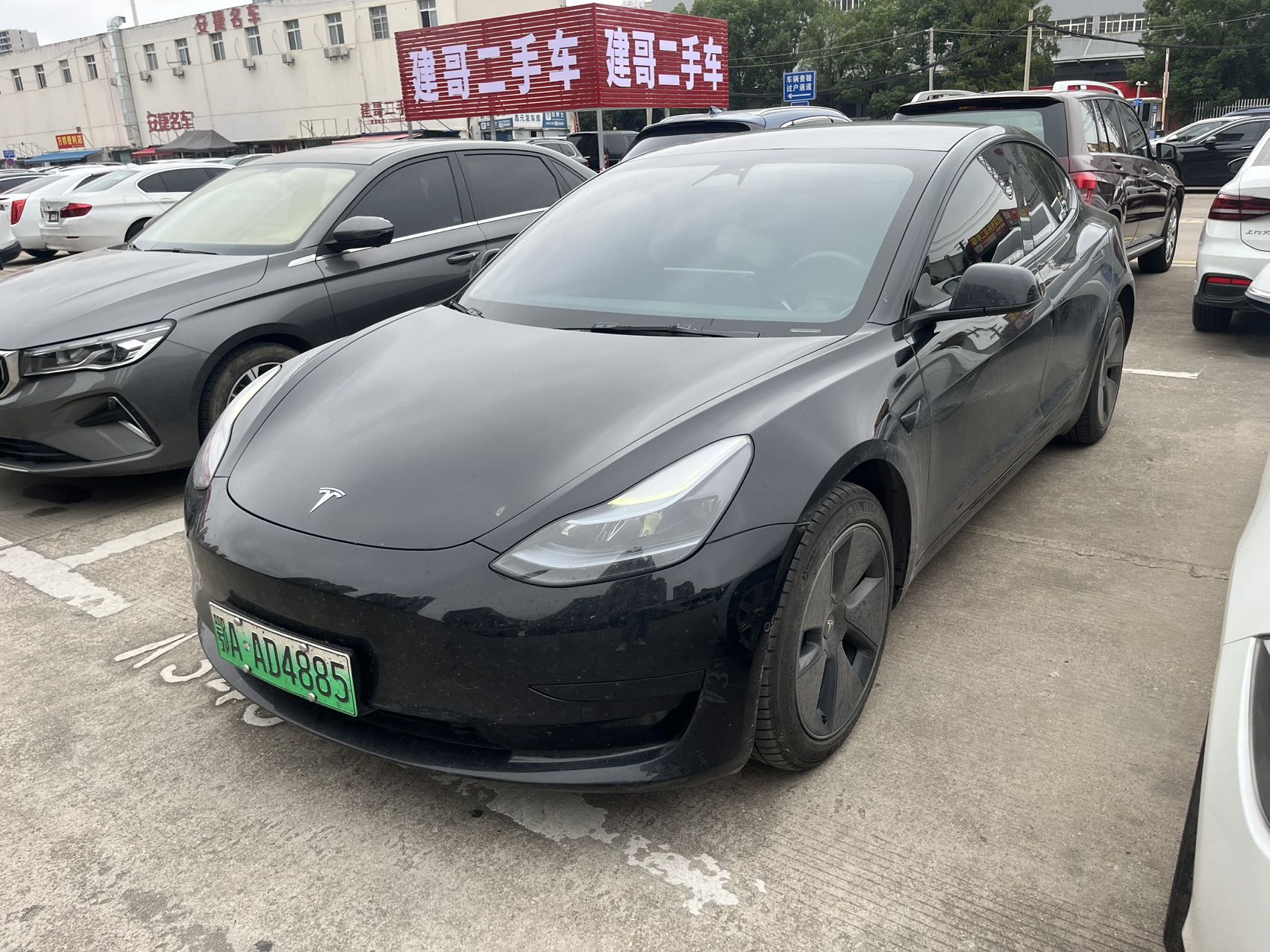 Tesla Model 3 2023 Tesla Model 3 2023 car image
