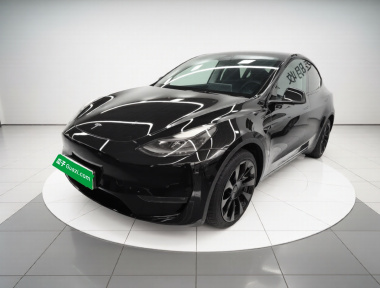 Tesla Model Y 2022 Tesla Model Y 2022 car image