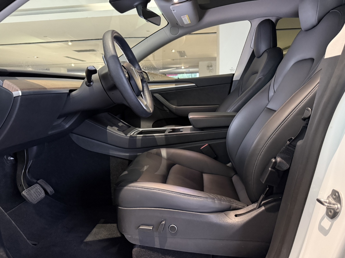 Tesla Model Y 2021 car image #3