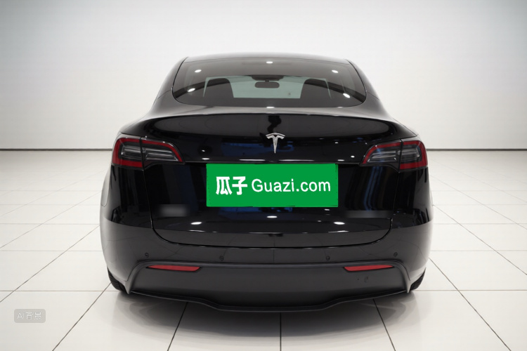 Tesla Model Y 2023 immagine di auto #6