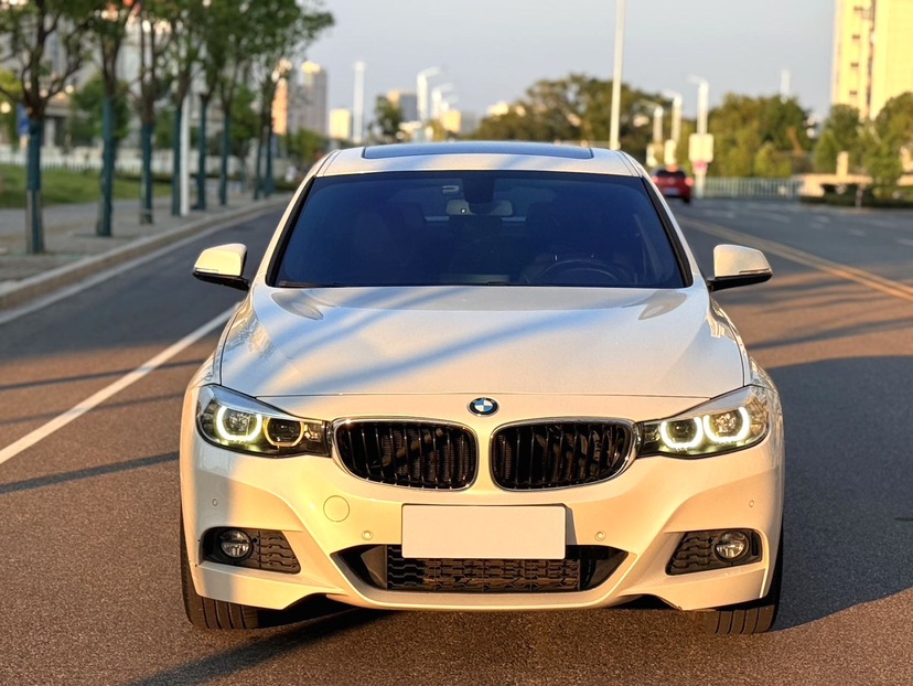 BMW 3 Series GT 2019 #2 BMW 3 Series GT 2019 car image #2