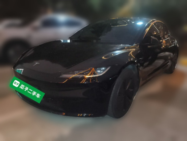 Tesla Model 3 2023 car image 