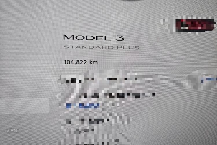 Tesla Model 3 2021 car image #14