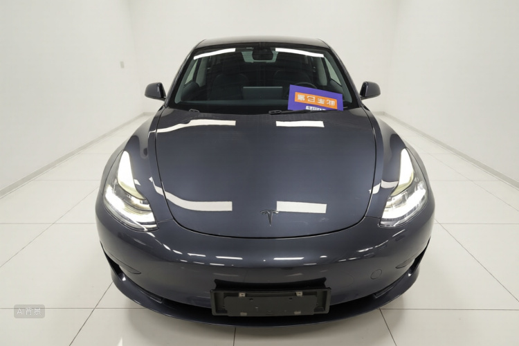 Tesla Model 3 2021 car image #3