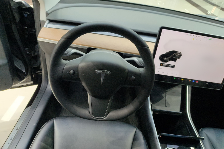 Tesla Model 3 2020 car image #16