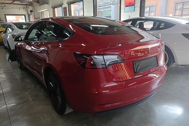 Tesla Model 3 2021 #5 Tesla Model 3 2021 car image #5