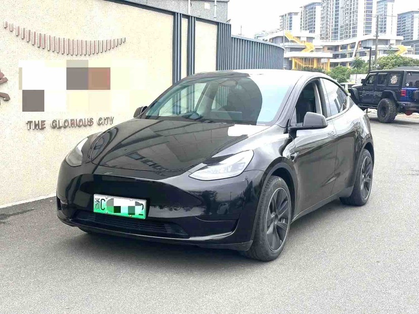 Tesla Model Y 2024 Tesla Model Y 2024 car image