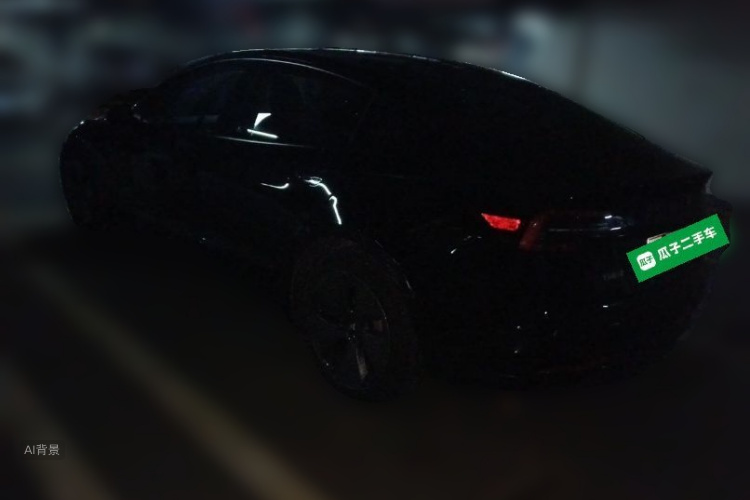 Tesla Model 3 2023 car image #5
