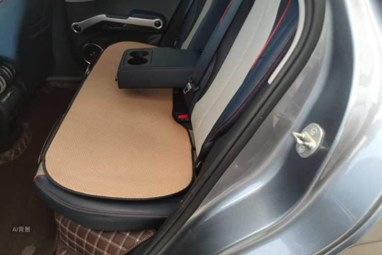 BYD Yuan Plus 2022 car image #19