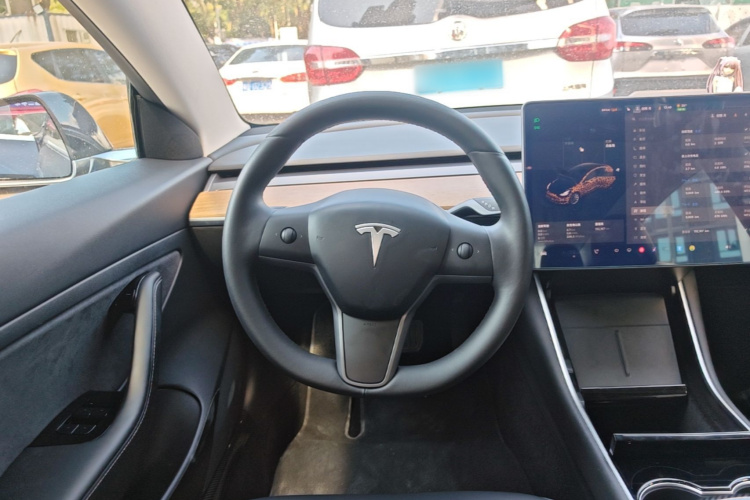 Tesla Model 3 2020 #11 Tesla Model 3 2020 صورة سيارة #11