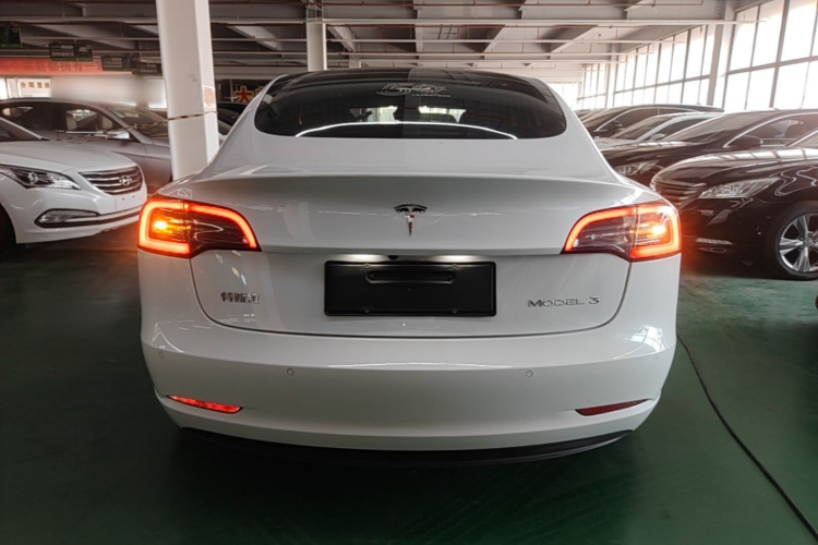 Tesla Model 3 2020 car image #4