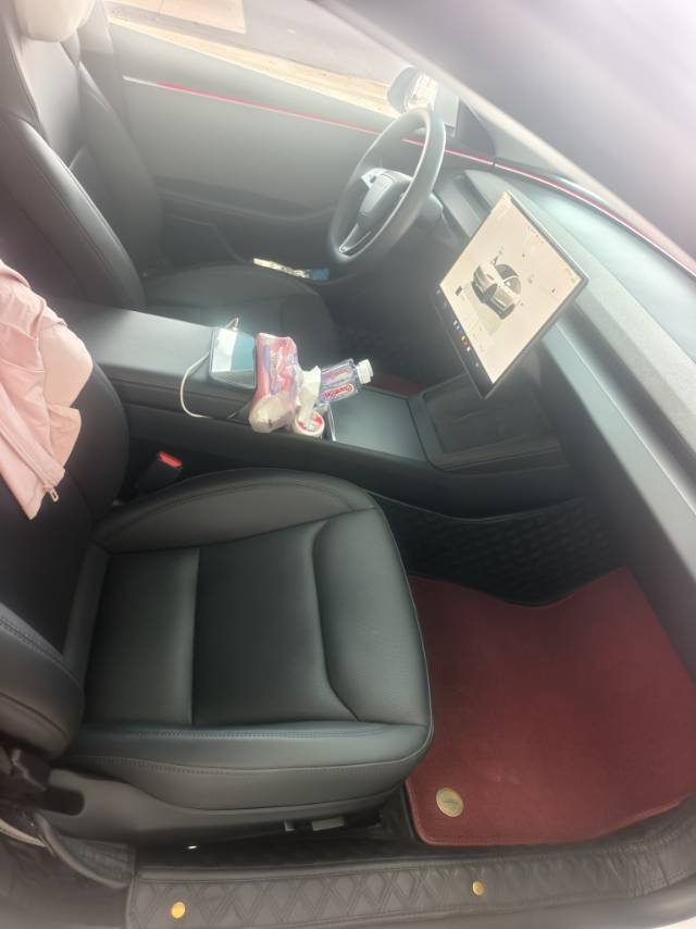 Tesla Model 3 2024 #4 Tesla Model 3 2024 car image #4