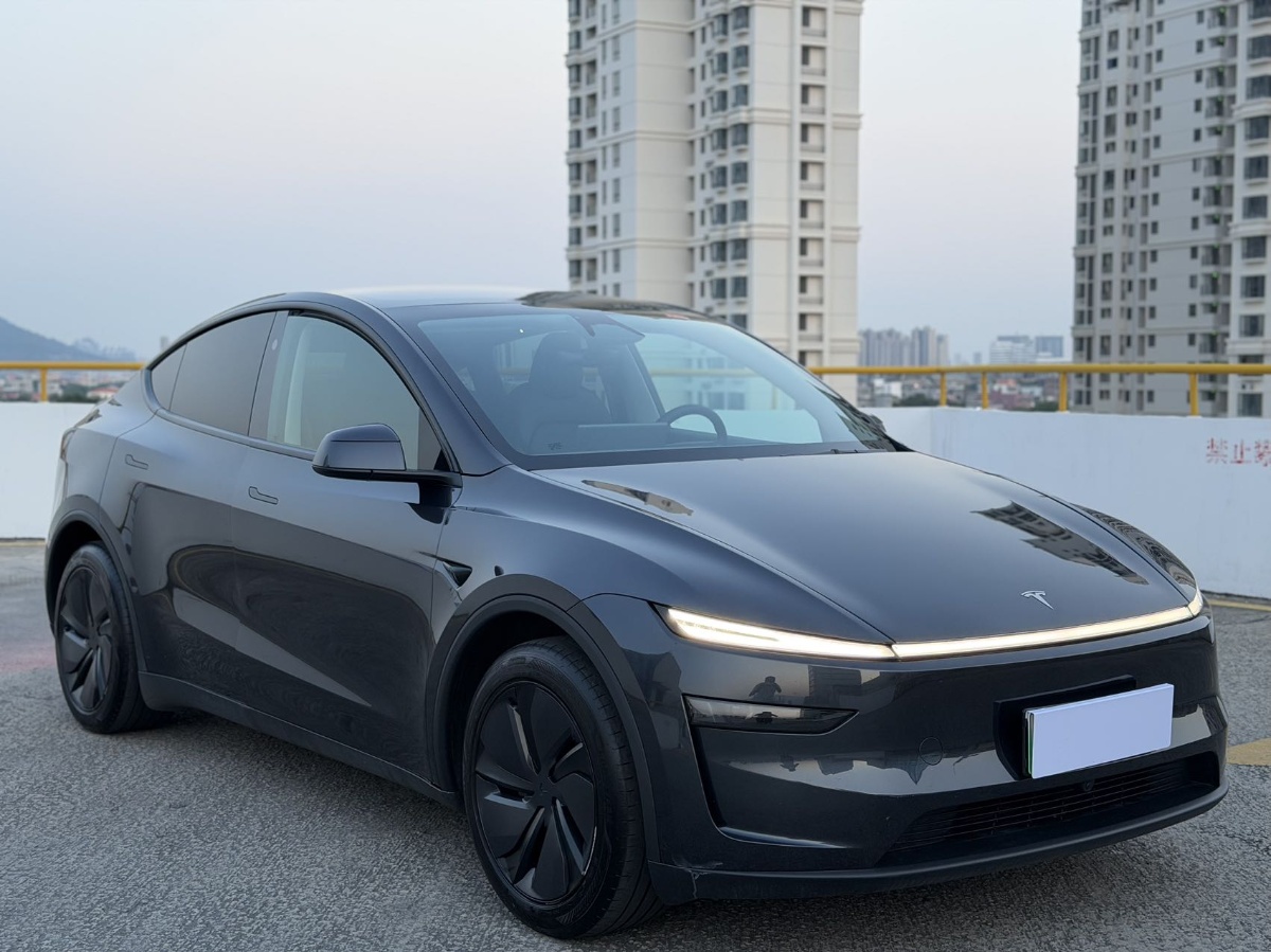 Tesla Model Y 2025 #3 Tesla Model Y 2025 car image #3