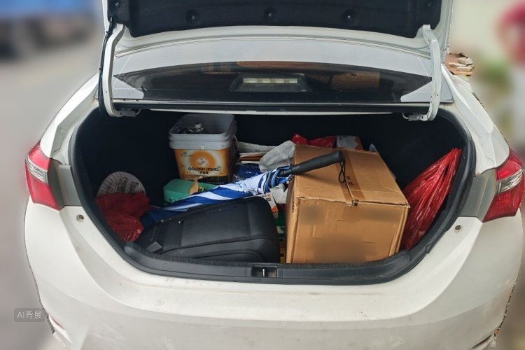 Toyota Corolla 2017 car image #21