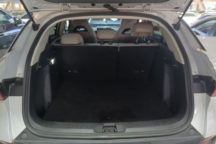BYD Yuan Plus 2023 car image #19