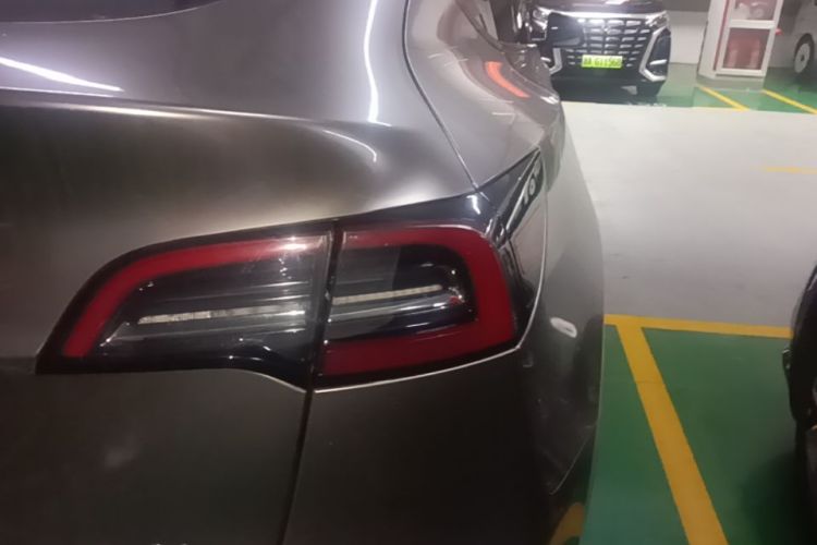 Tesla Model Y 2023 #8 Tesla Model Y 2023 car image #8