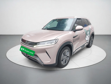 BYD YuanUP 2024 car image 