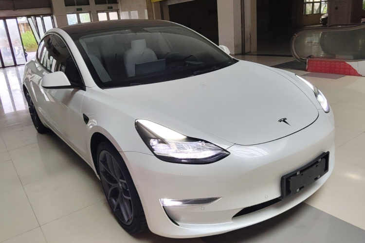 Tesla Model 3 2021 car image #6