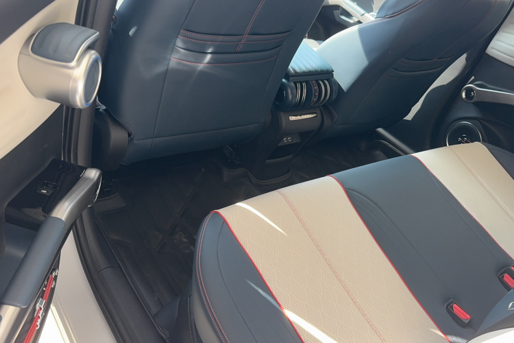 BYD Yuan Plus 2023 car image #12
