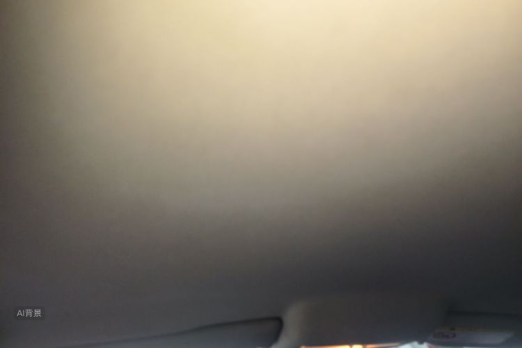 Volkswagen Polo 2015 car image #20
