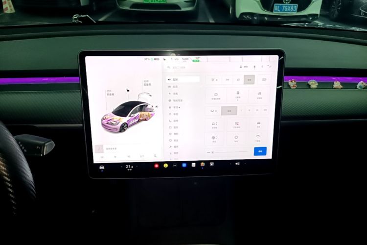Tesla Model 3 2021 car image #18