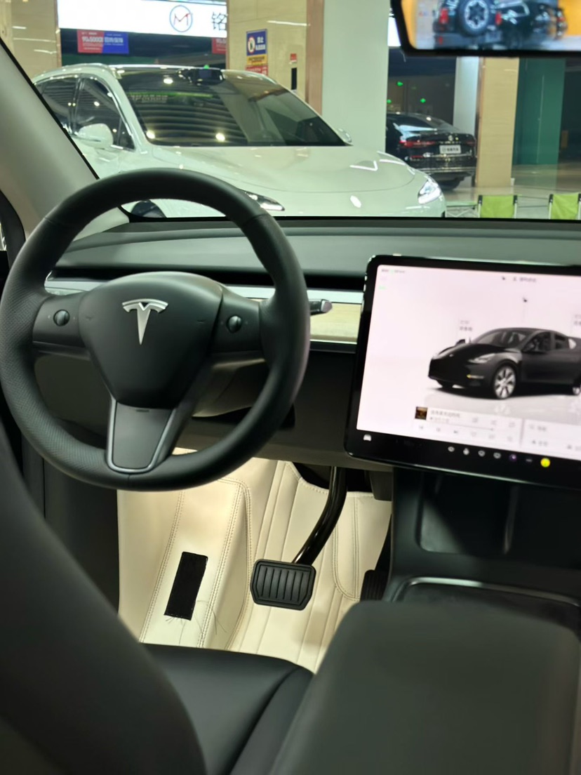 Tesla Model Y 2023 immagine di auto #6